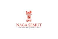 PT. Naga Semut