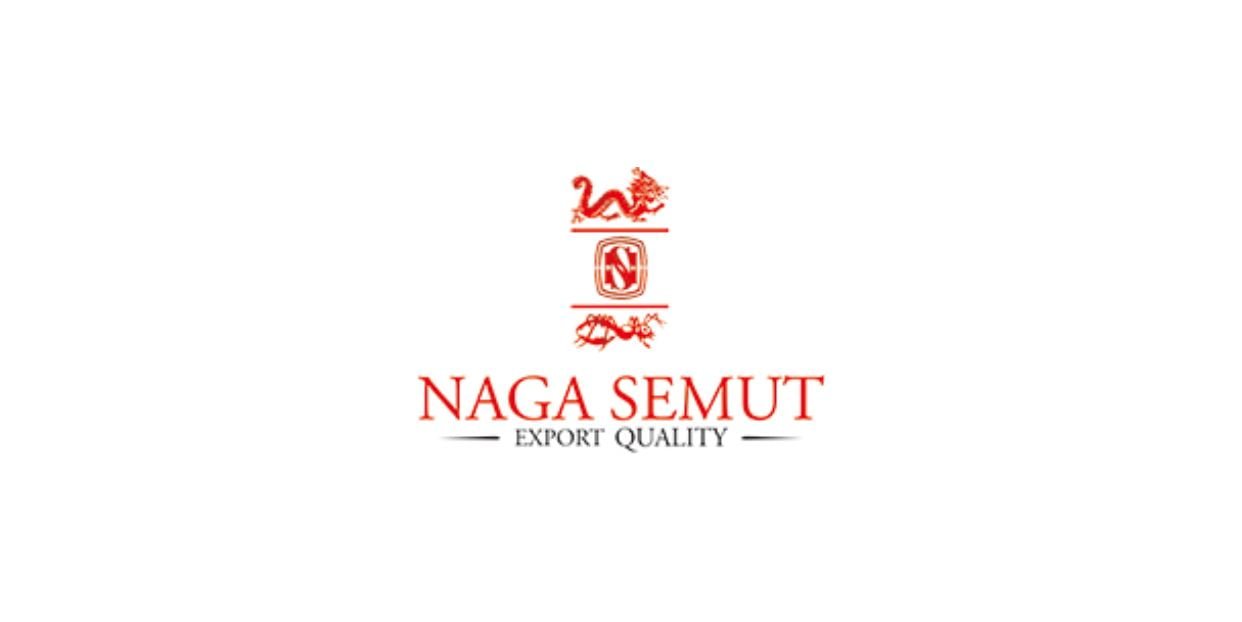 Lowongan Kerja Kebumen Staff Payroll 2024, PT. Naga Semut Buka Loker Kebumen Terbaru