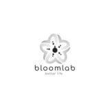 Loker E-commerce Specialist Indonesia di BloomLab Terbaru 2024